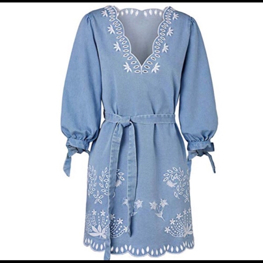Light Blue Denim Embroidery Dress - Picture 4 of 5